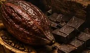 Cacao