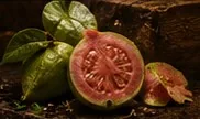 Guayaba